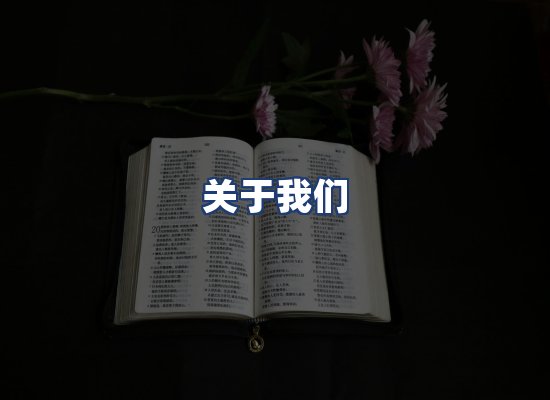 关于我们